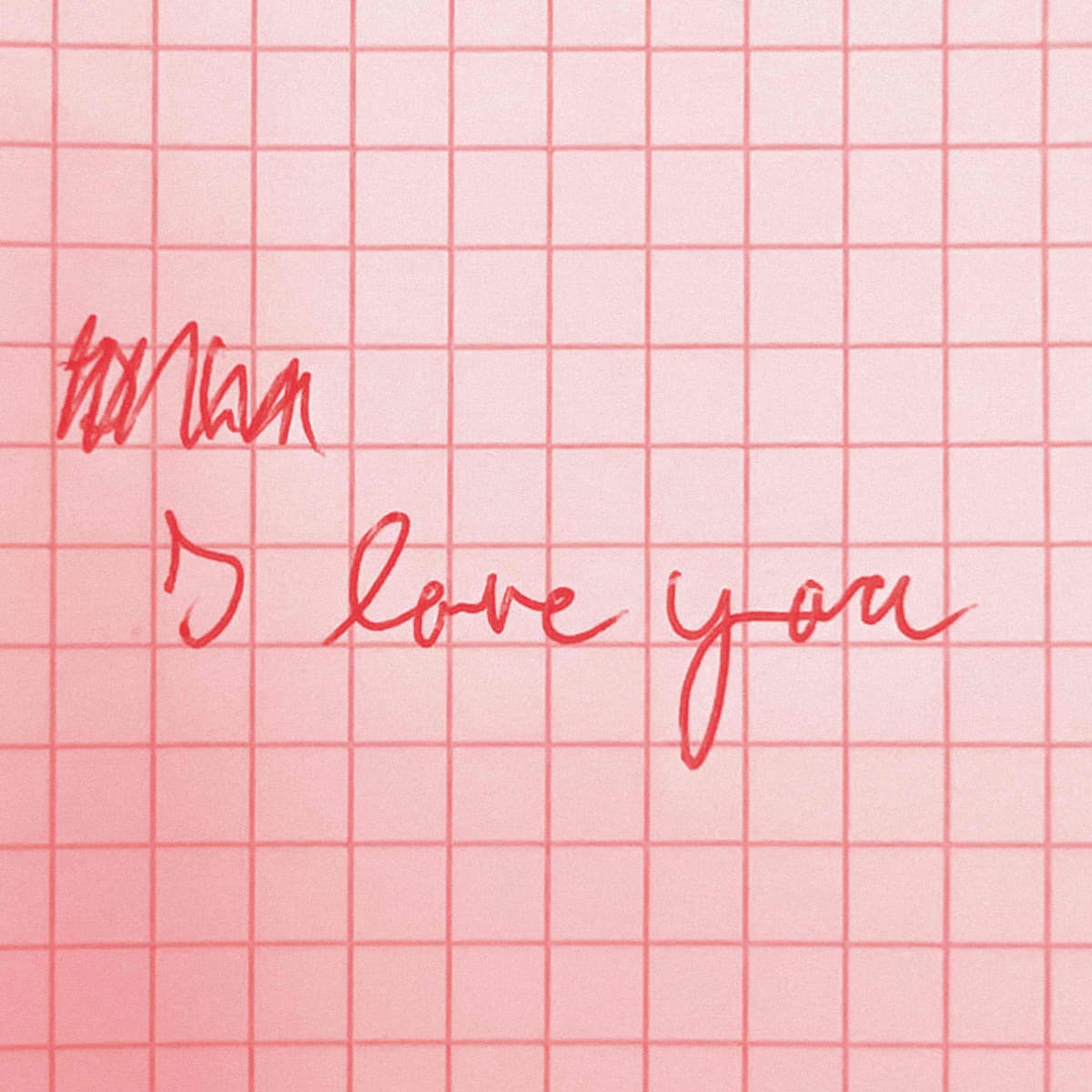 I Love You / I Hate You