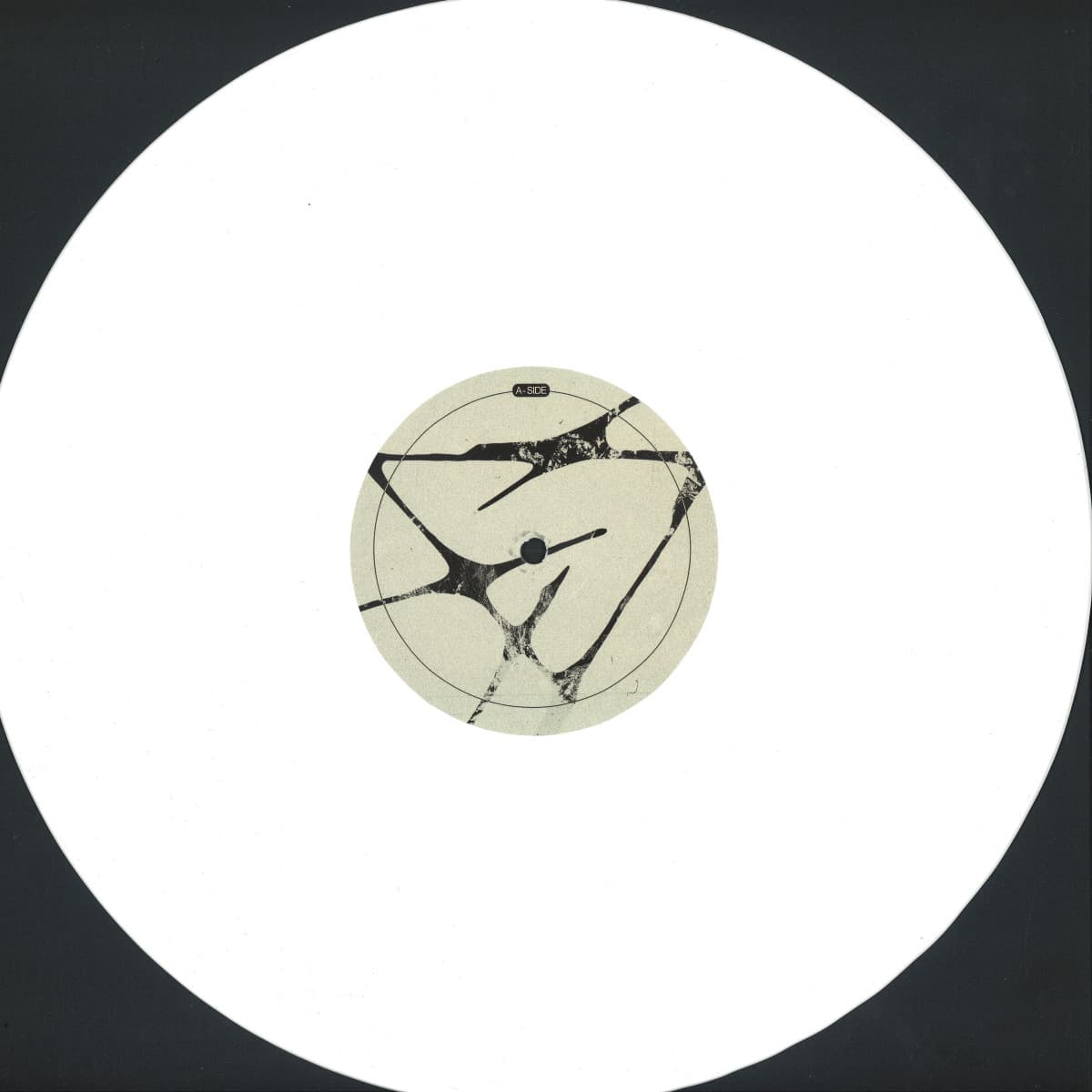 This Is What I Was For A Moment