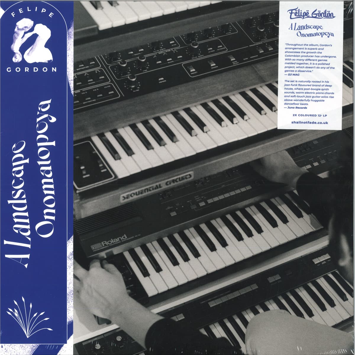 A Landscape Onomatopeya LP 2x12"