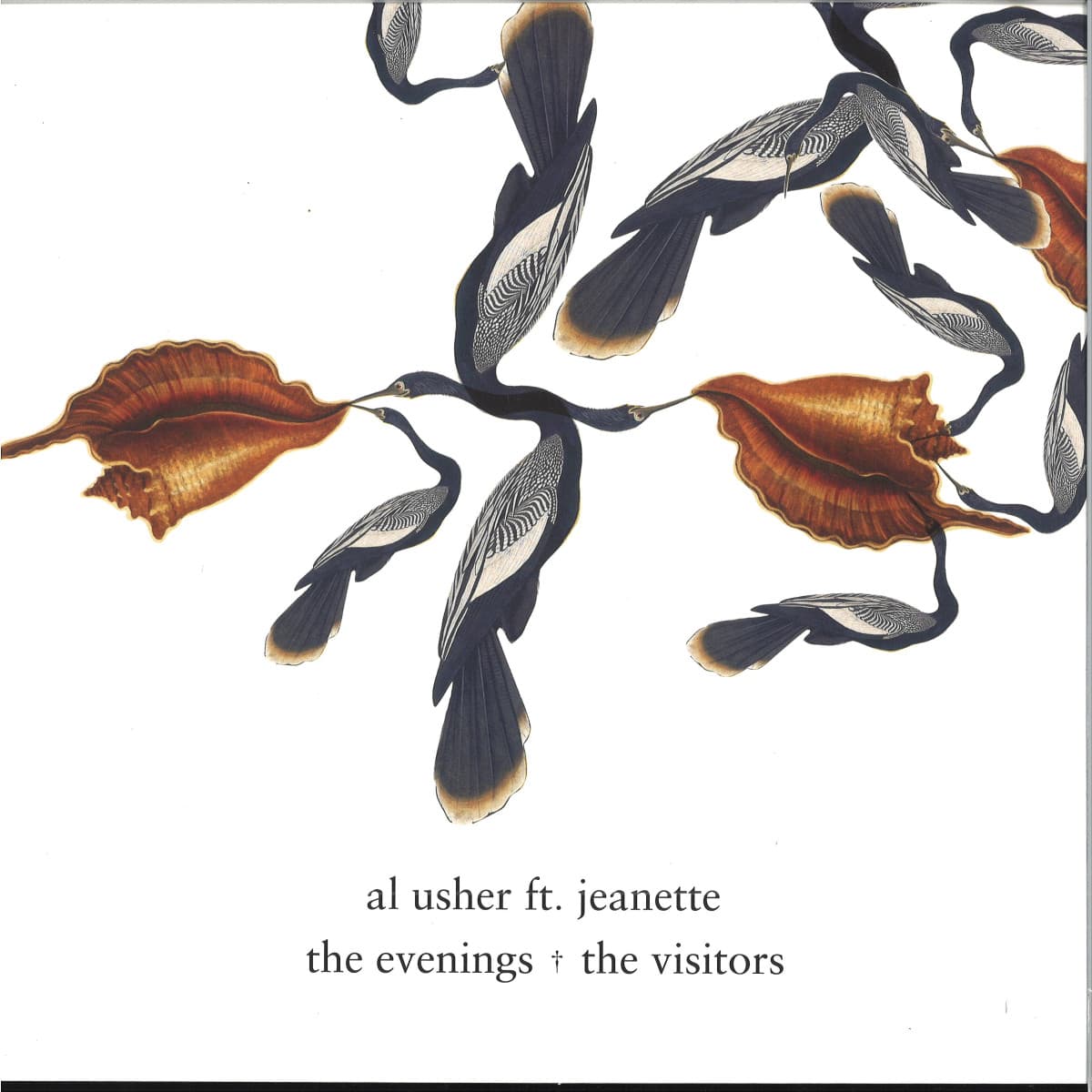 THE EVENINGS / THE VISITORS