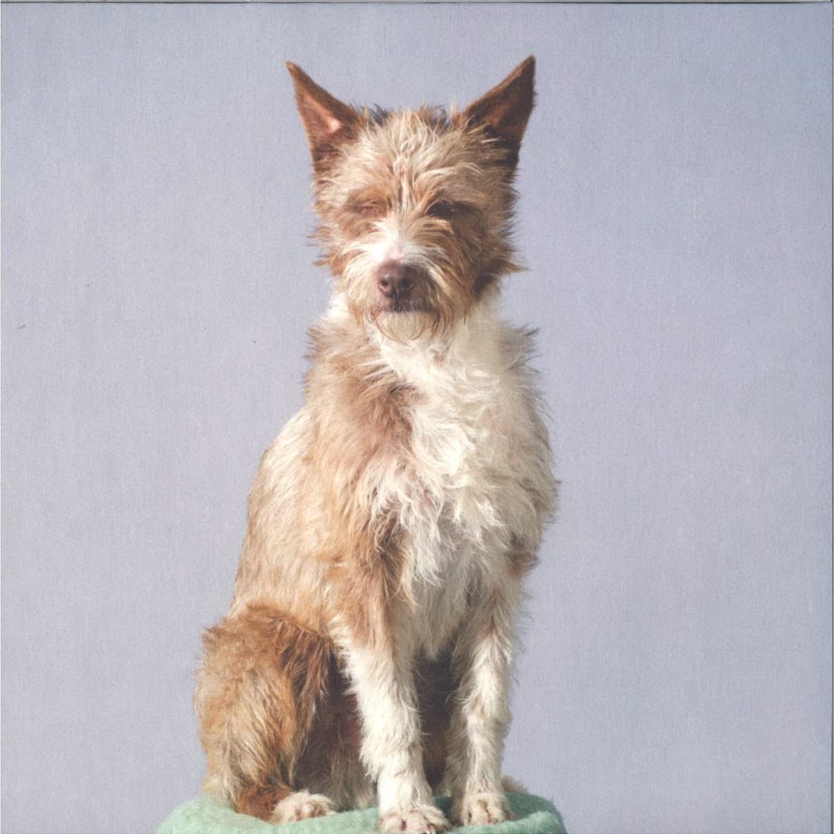 Different planets EP