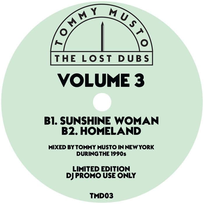 The Lost Dubs - Vol 3