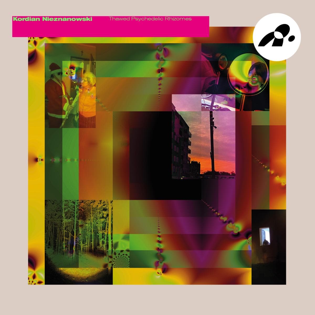 Thawed Psychedelic Rhizomes LP 2x12"