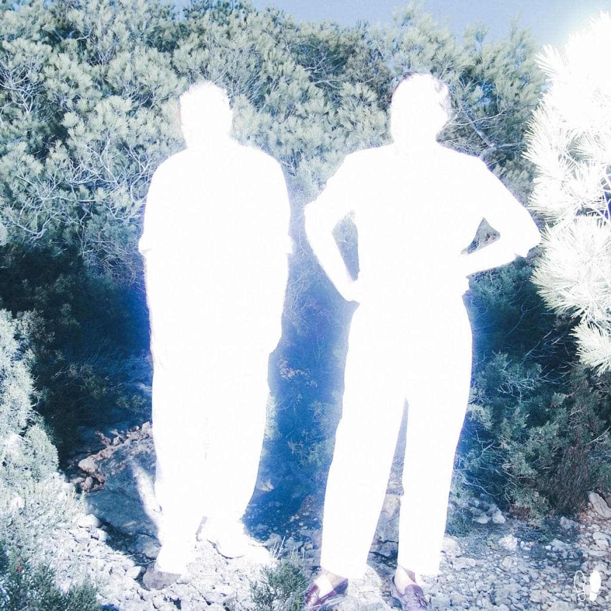 All Systems Are Lying / Run Free (Nite Versions)