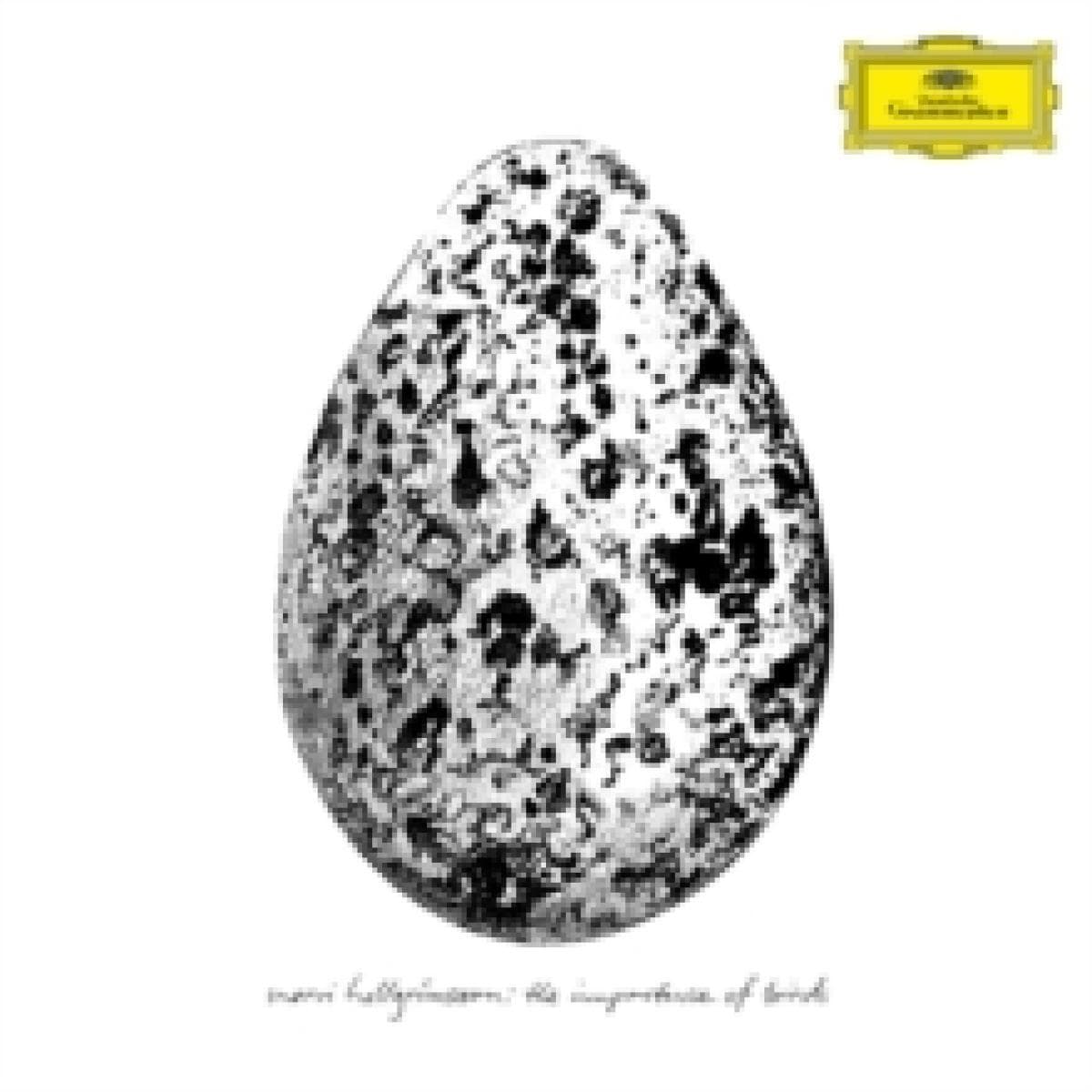 The Importance of Birds