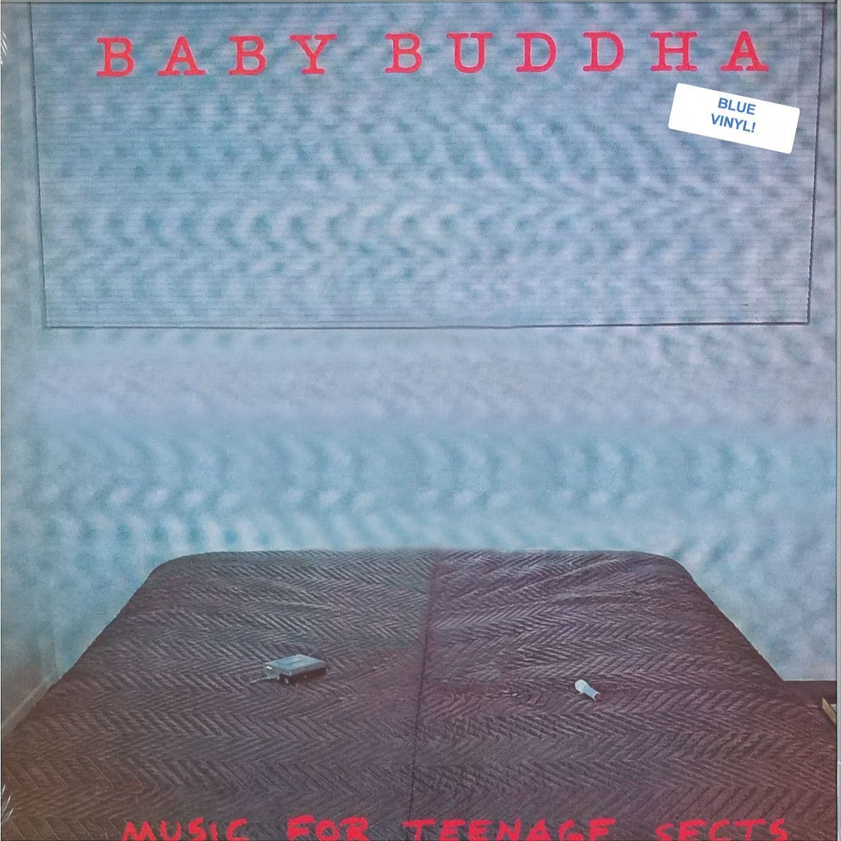 MUSIC FOR TEENAGE SECTS LP