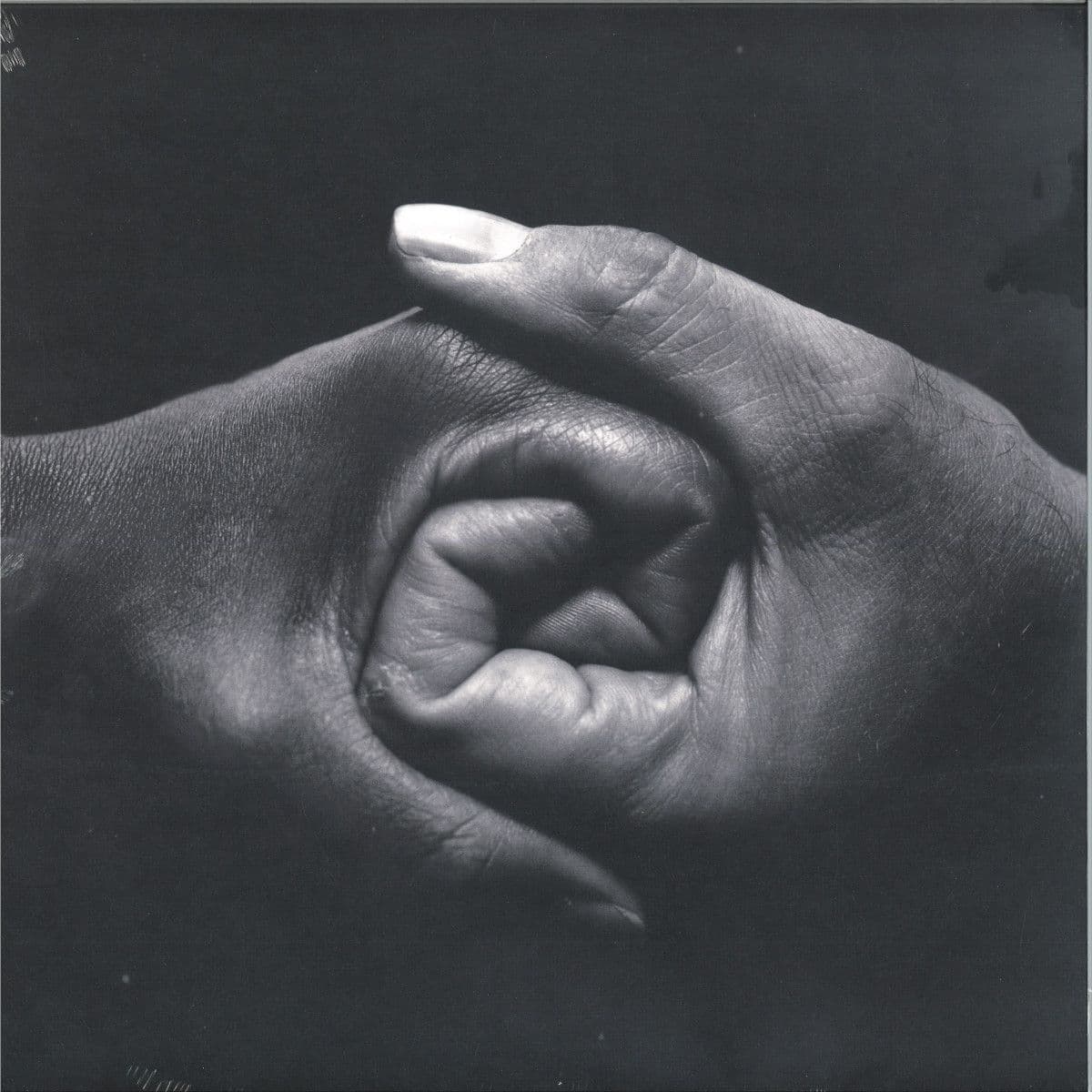 The Rooted Sky 2x12"