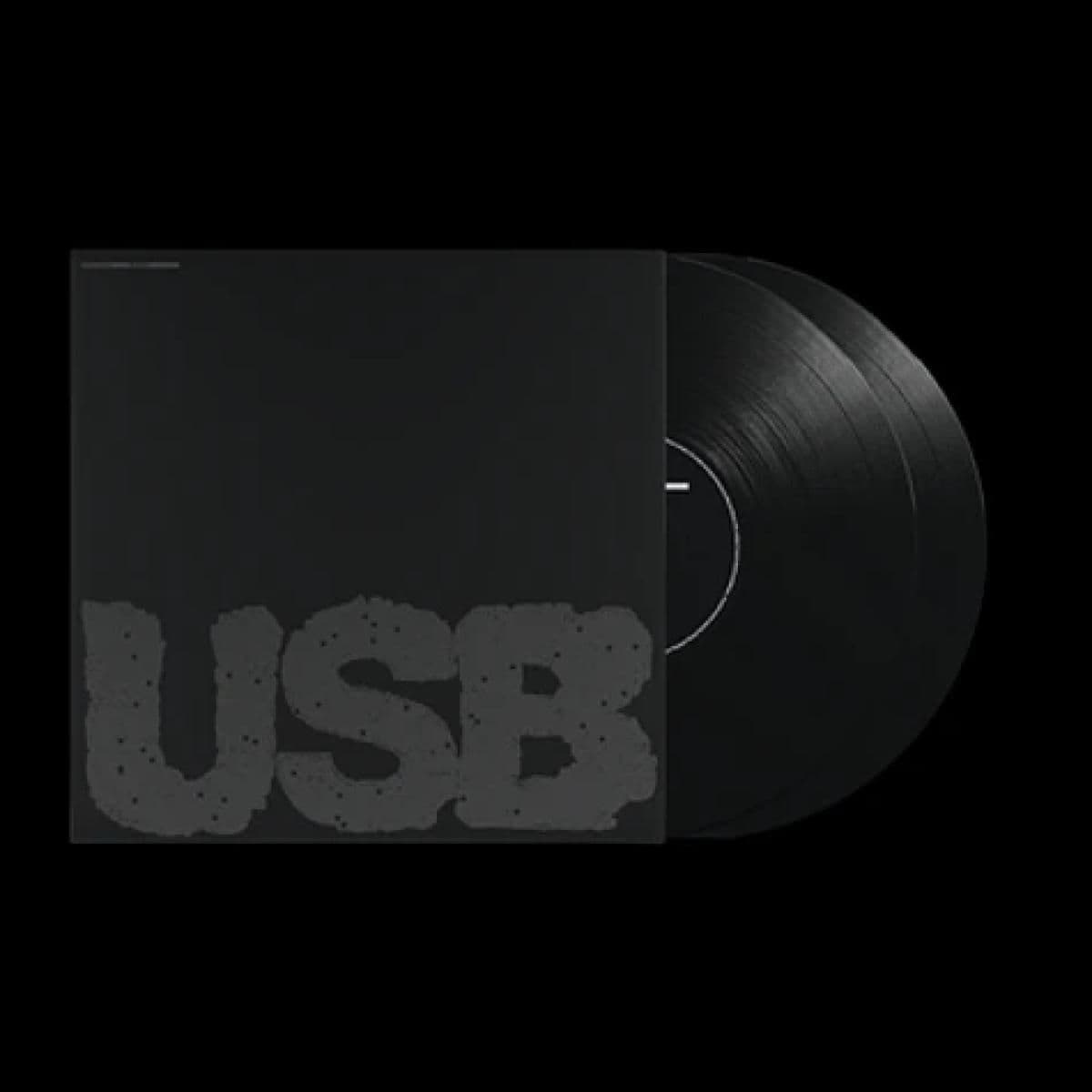 USB002 (2x12")