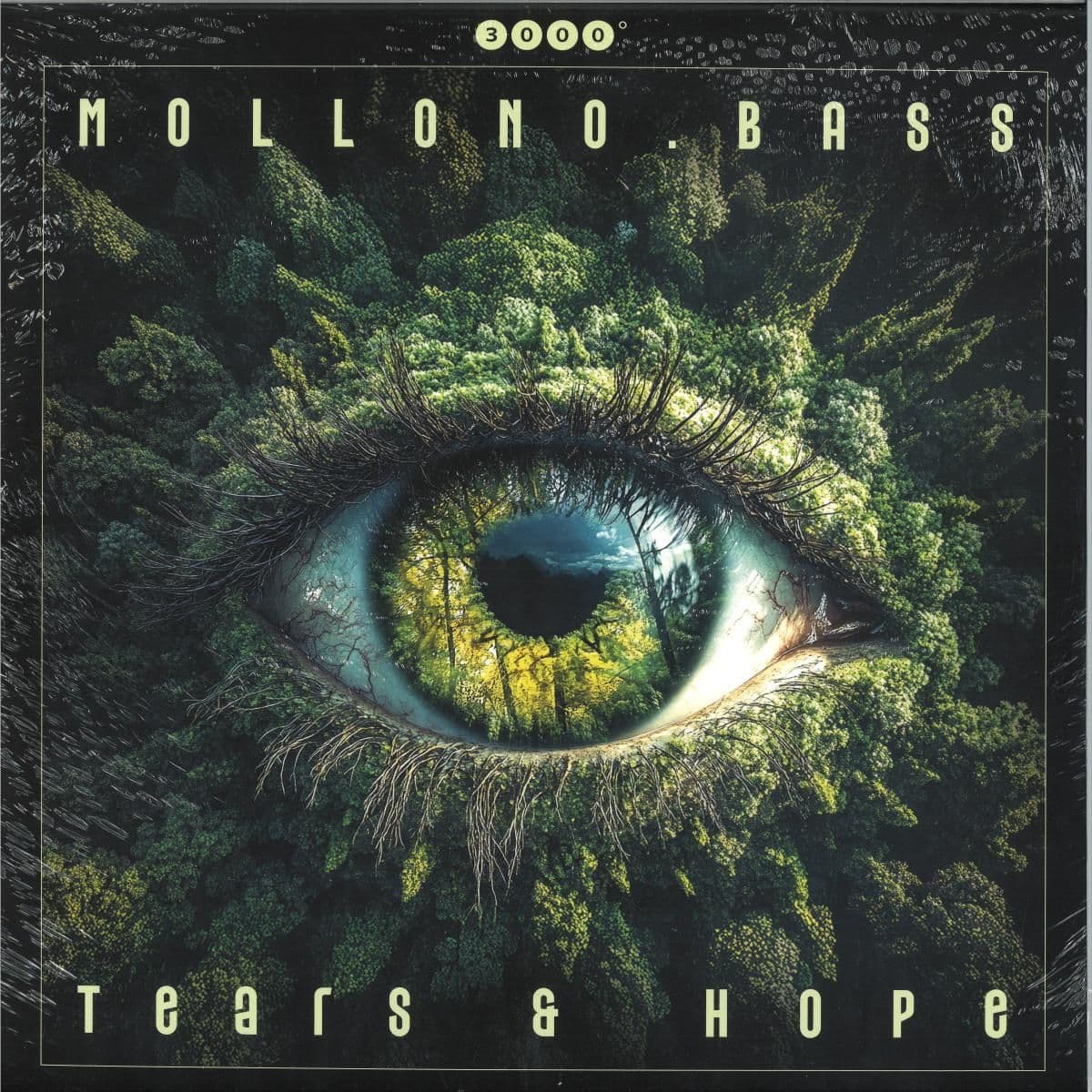 Tears & Hope LP 2x12"