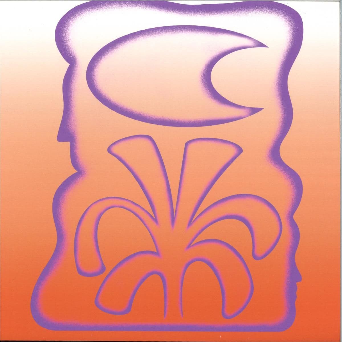 Solar Paint, and The Melodies in Between LP