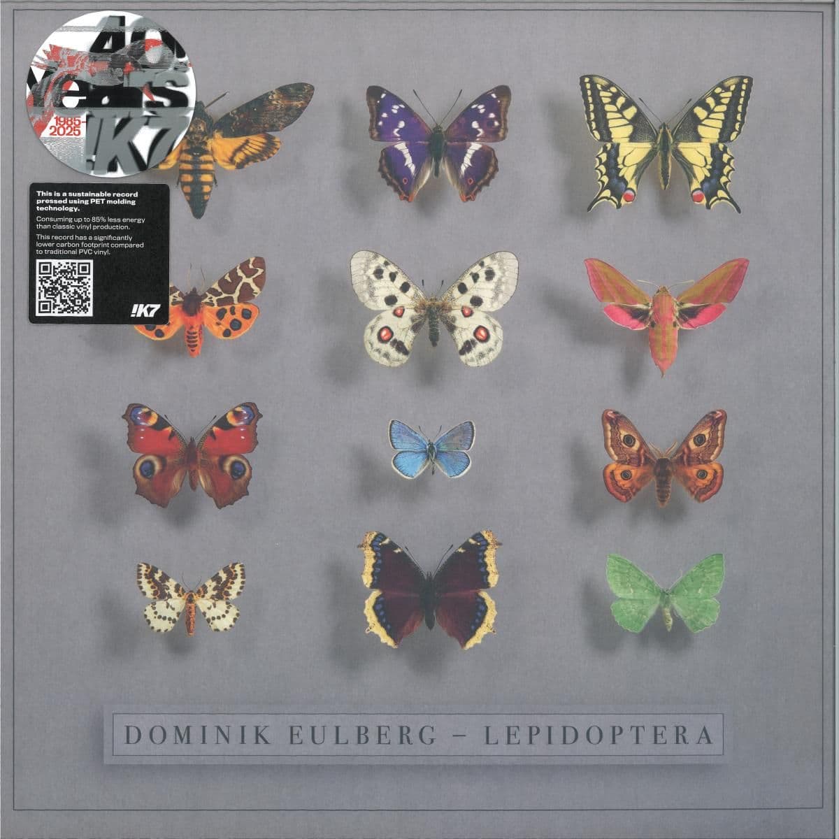 LEPIDOPTERA LP 2x12"