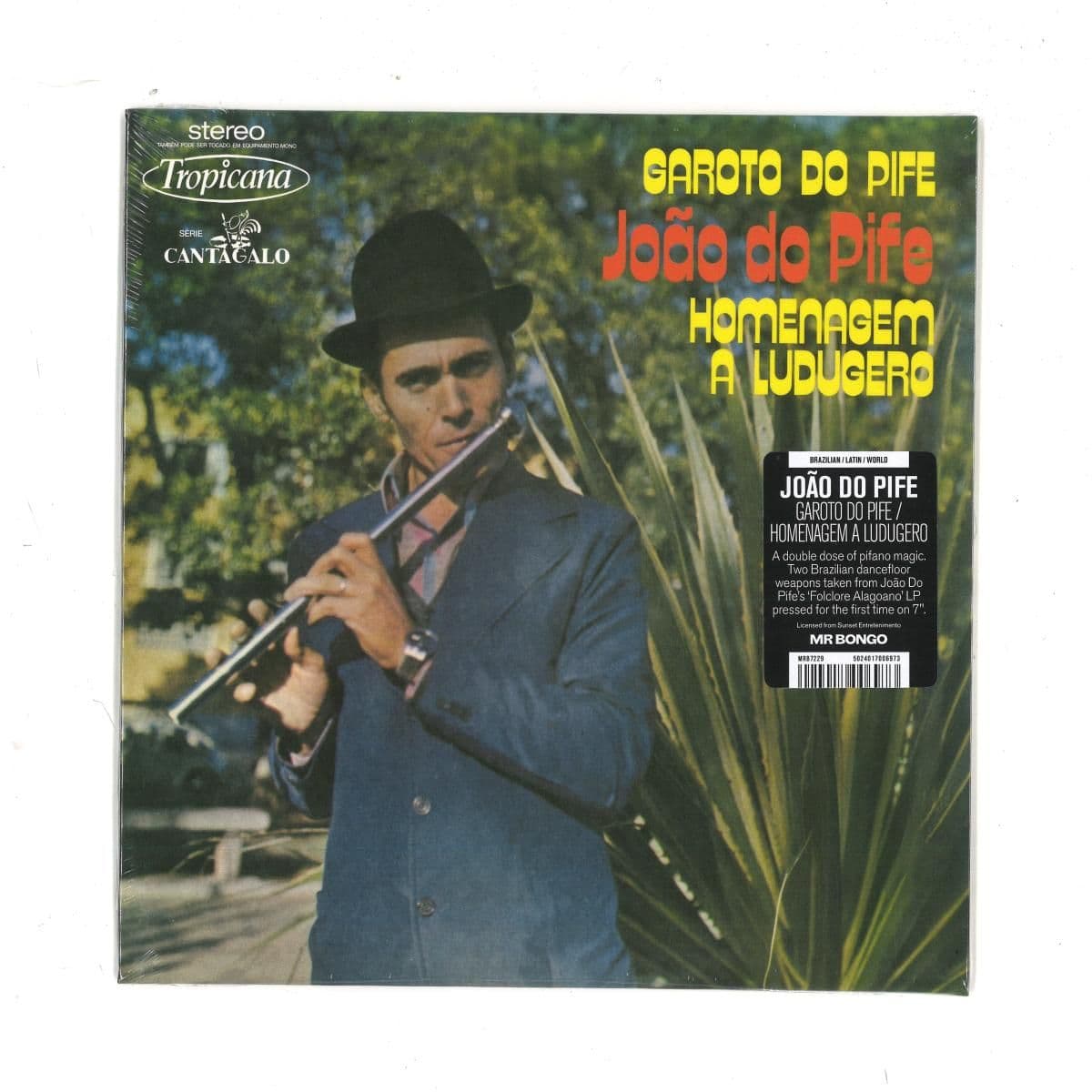 Garoto Do Pife / Homenagem a Ludugero (7")