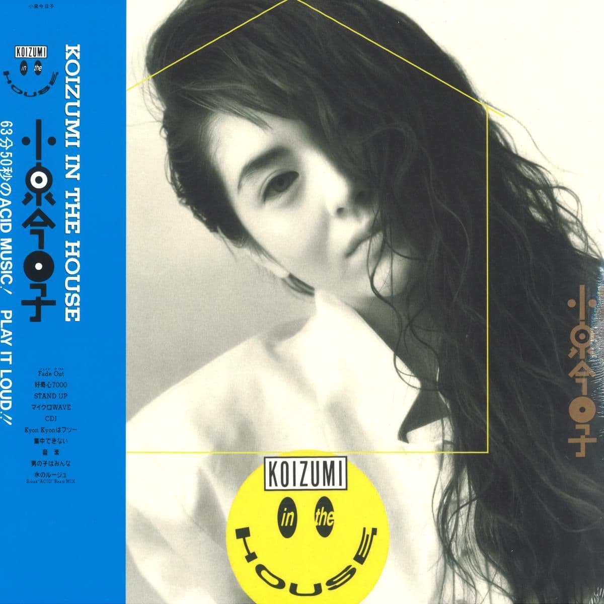 Koizumi In The House