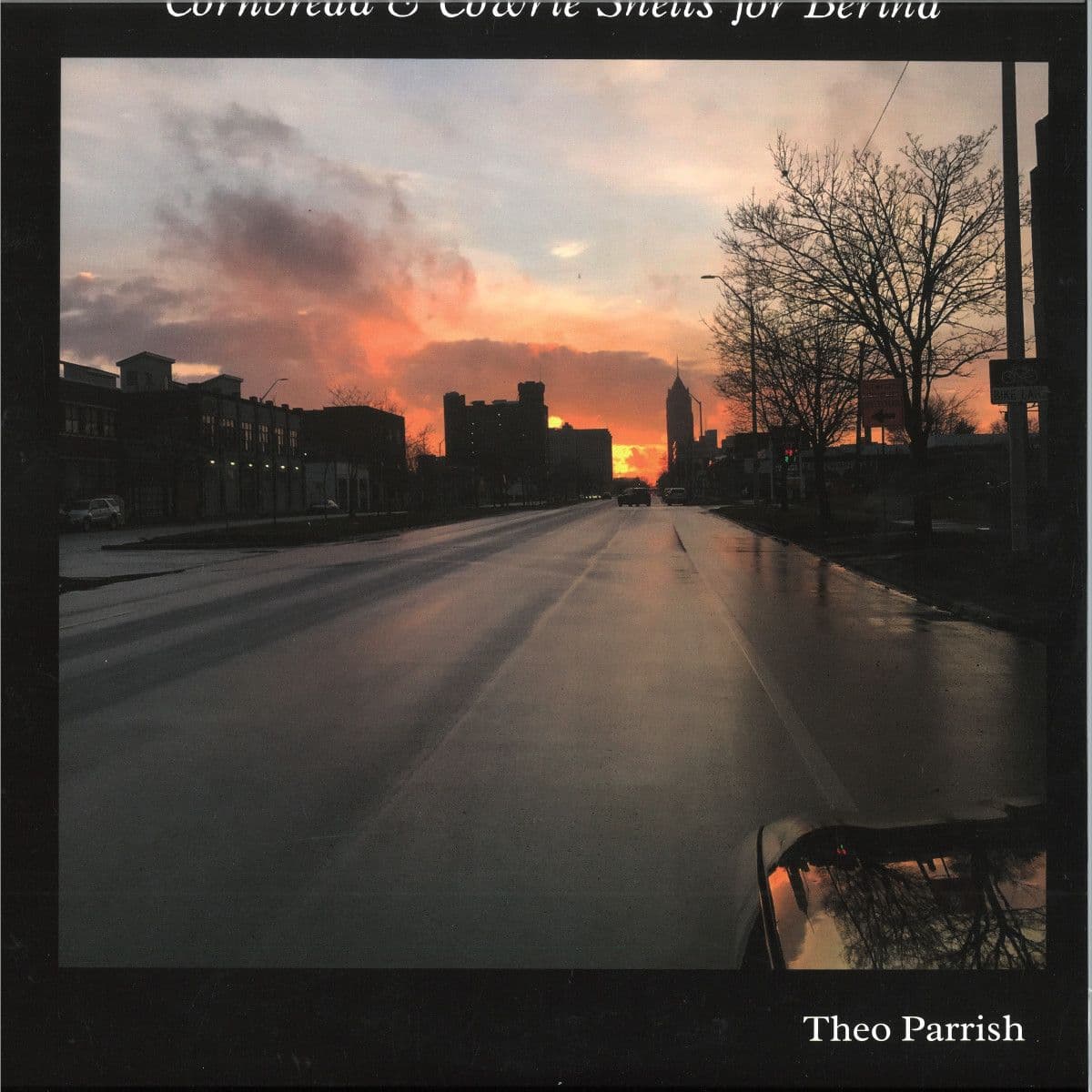 Cornbread & Cowrie Shells for Bertha 2x12"