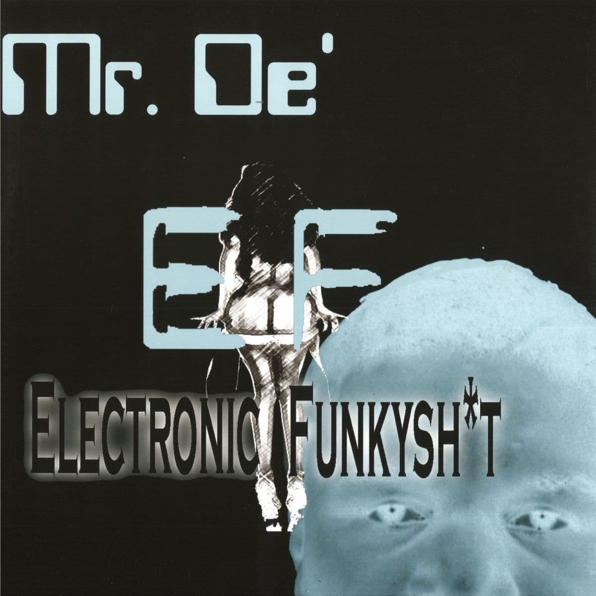 ElectronicFunkyshit LP 2x12"