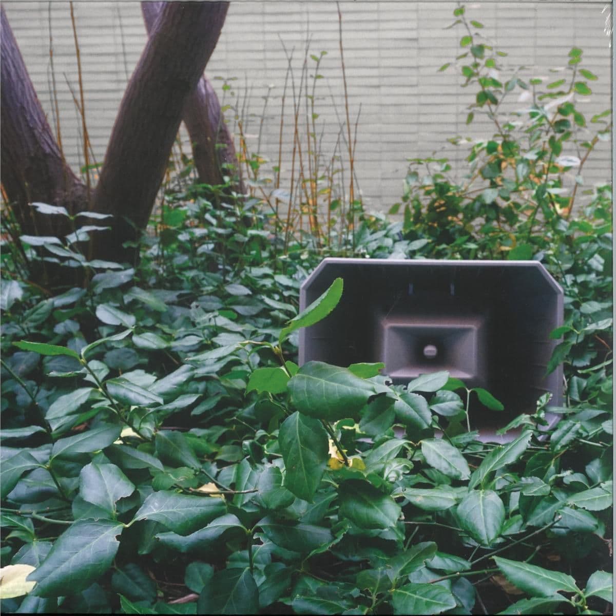 Muzak for the Encouragement of Unproductivity