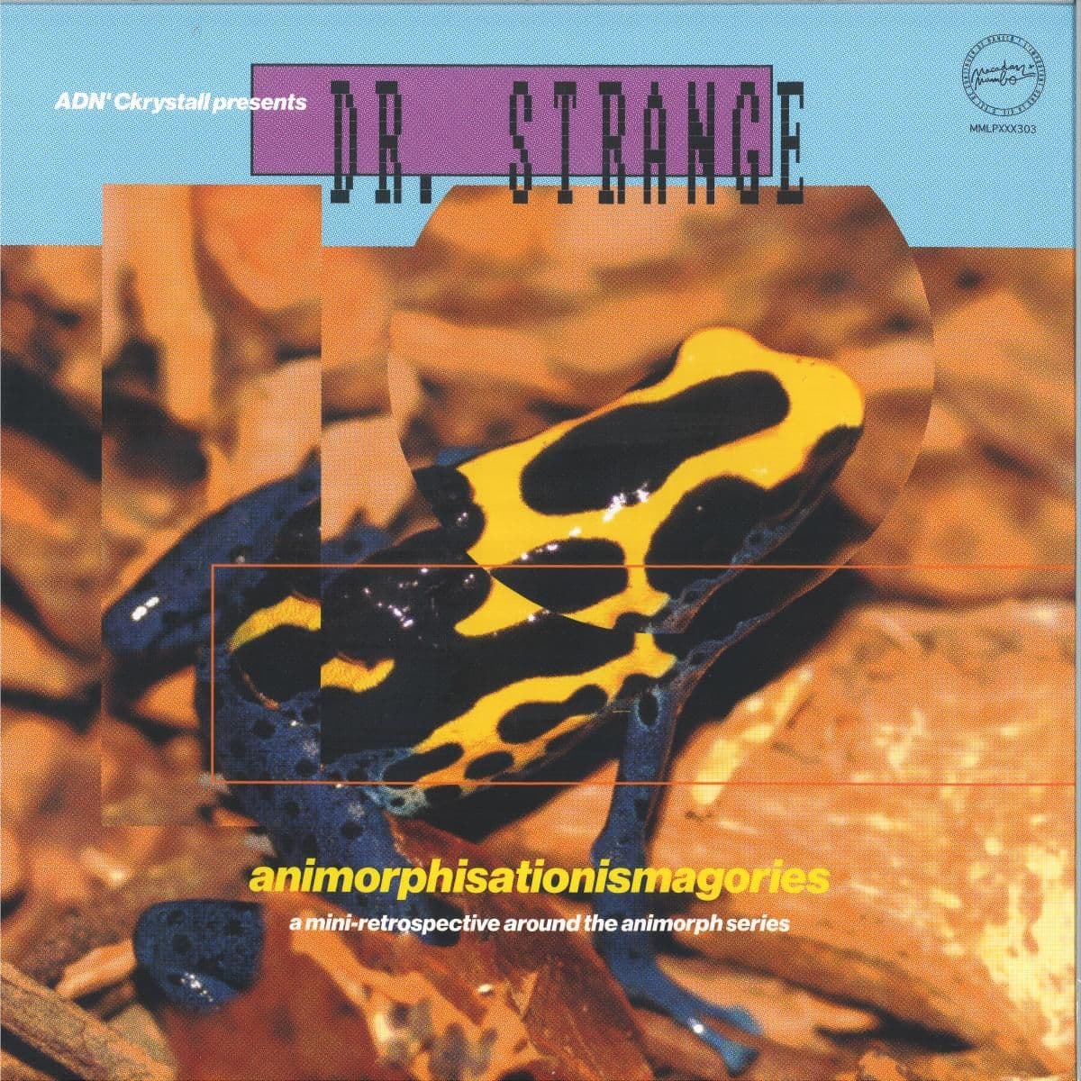 presents DR. STRANGE : “Animorphisationismagories” (LP)