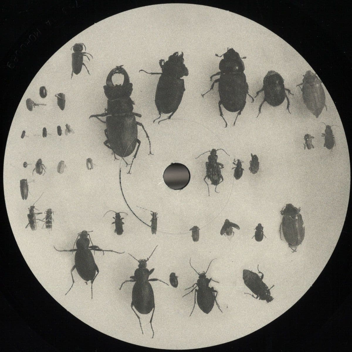 You Can't Step On the Same Risk Twice EP