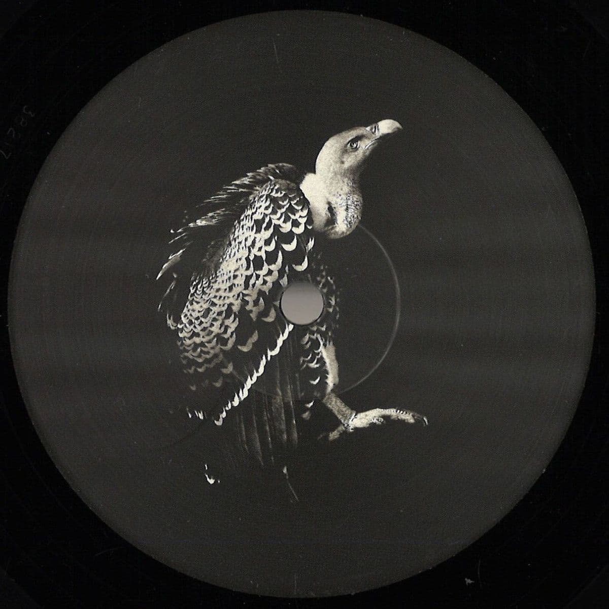 Processo Irreversibile EP