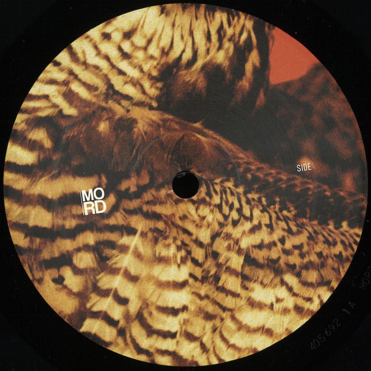 Highland Frequencies EP