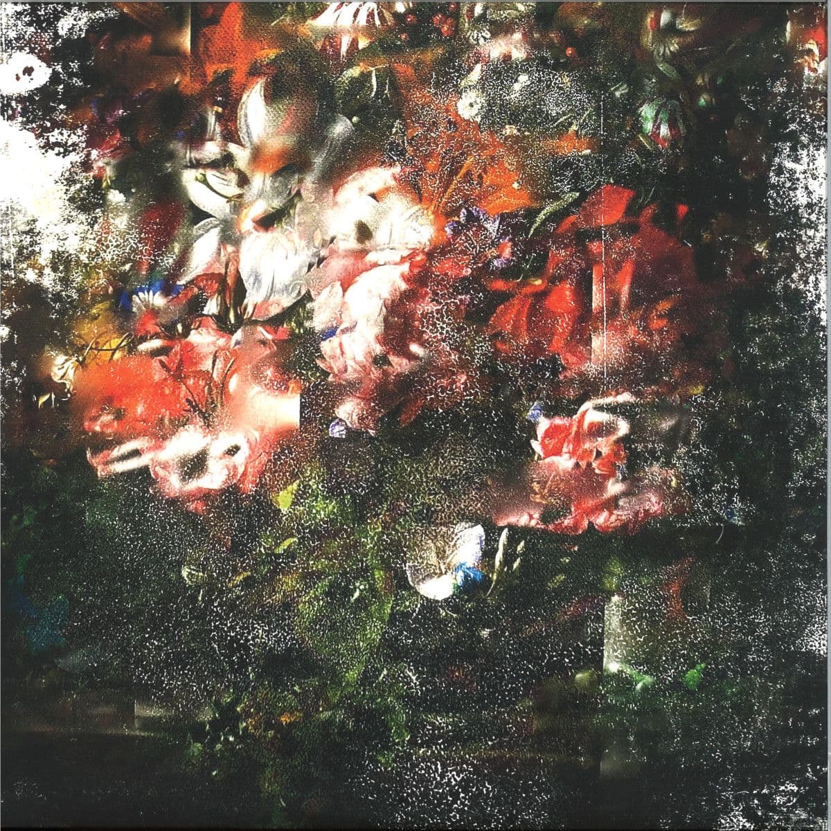 Capturing Animals LP