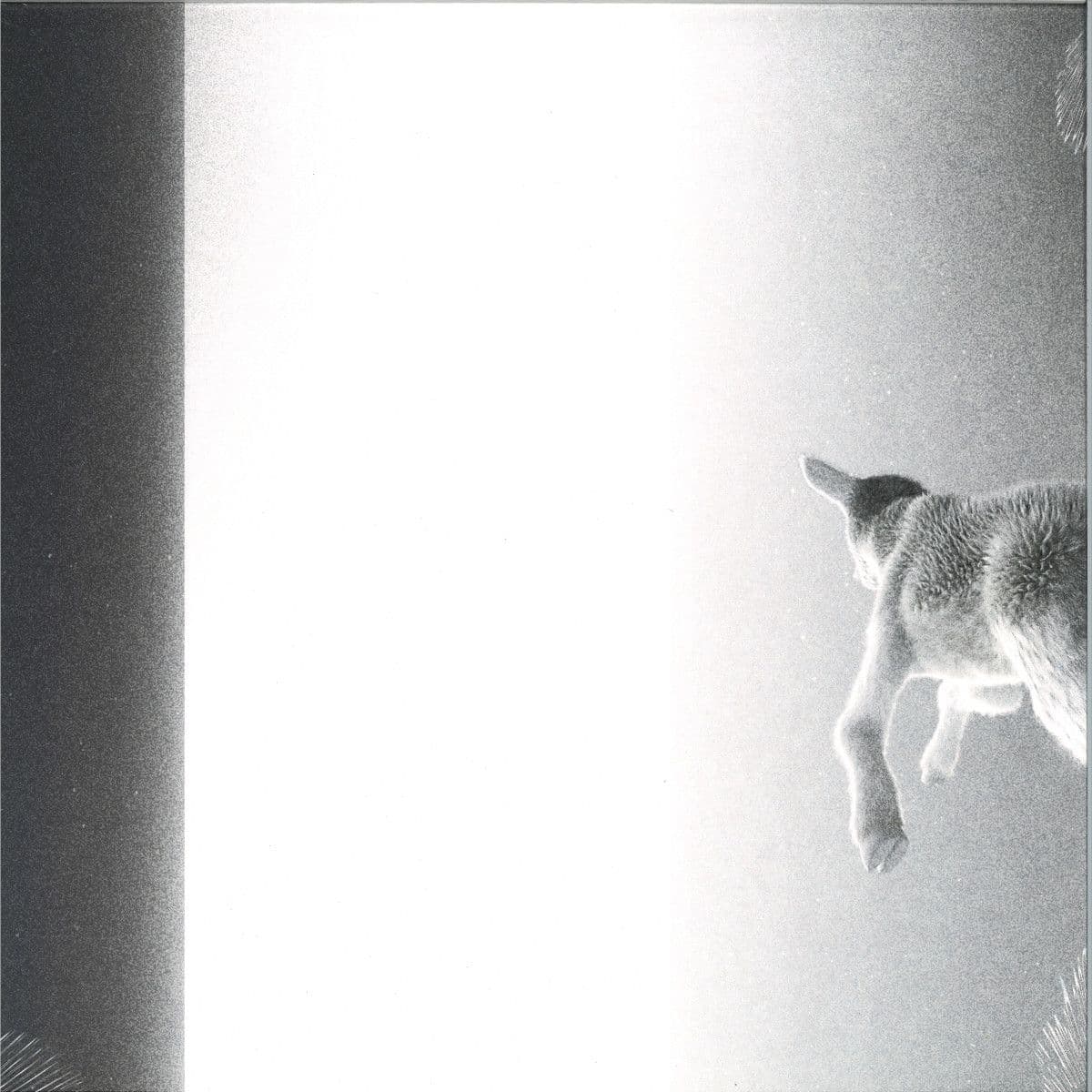 Keep Looking Where The Light Comes From LP