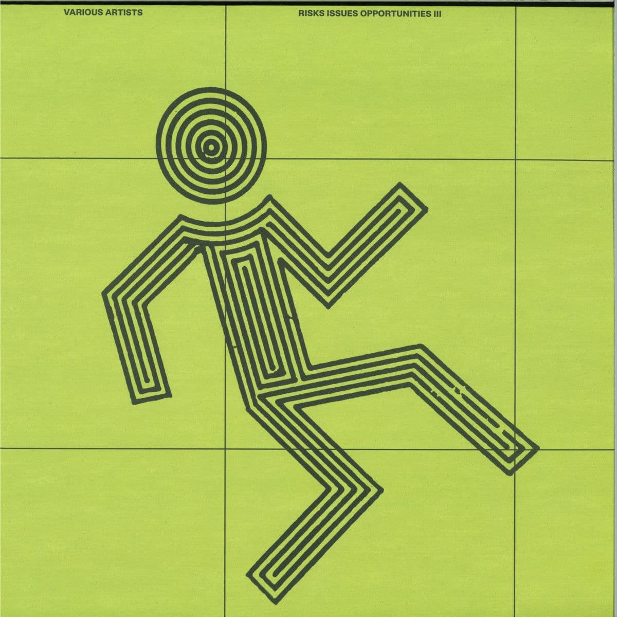 Risks Issues Opportunities III