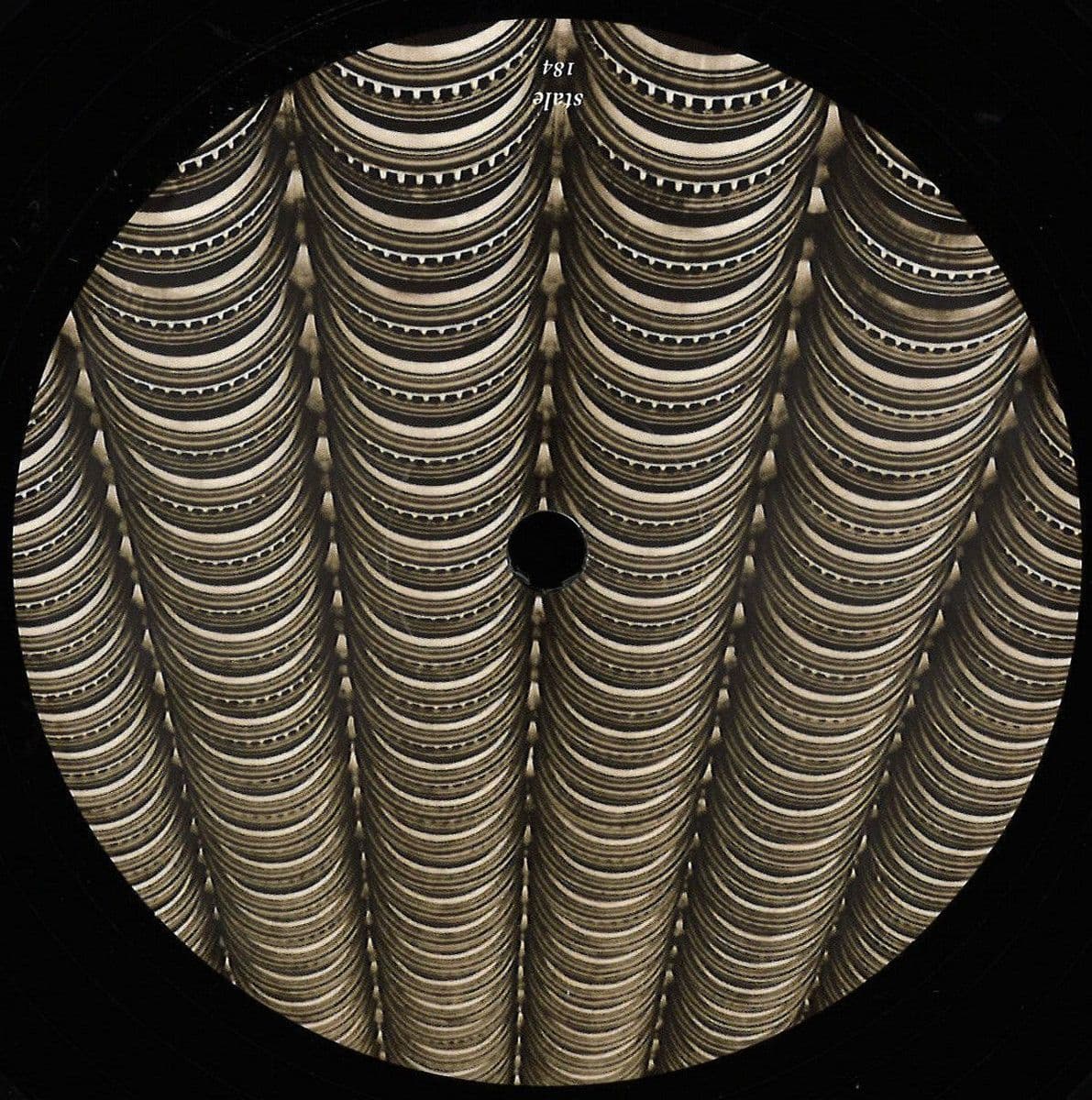 Black Birds All Over