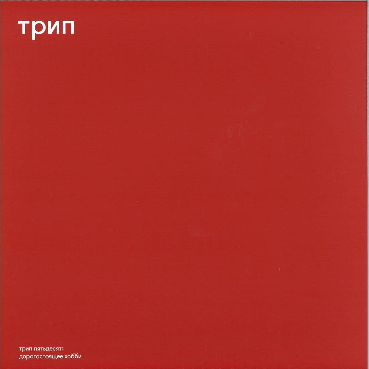 randyrtsport LP 2x12"