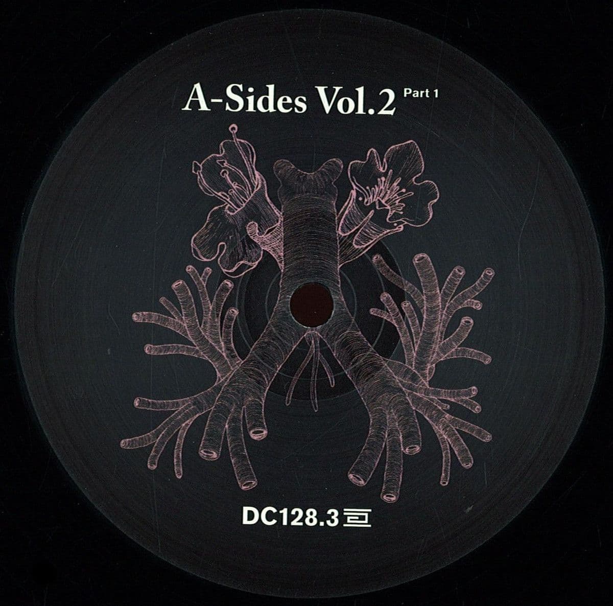 *3* A Sides Volume Ii Pt 1