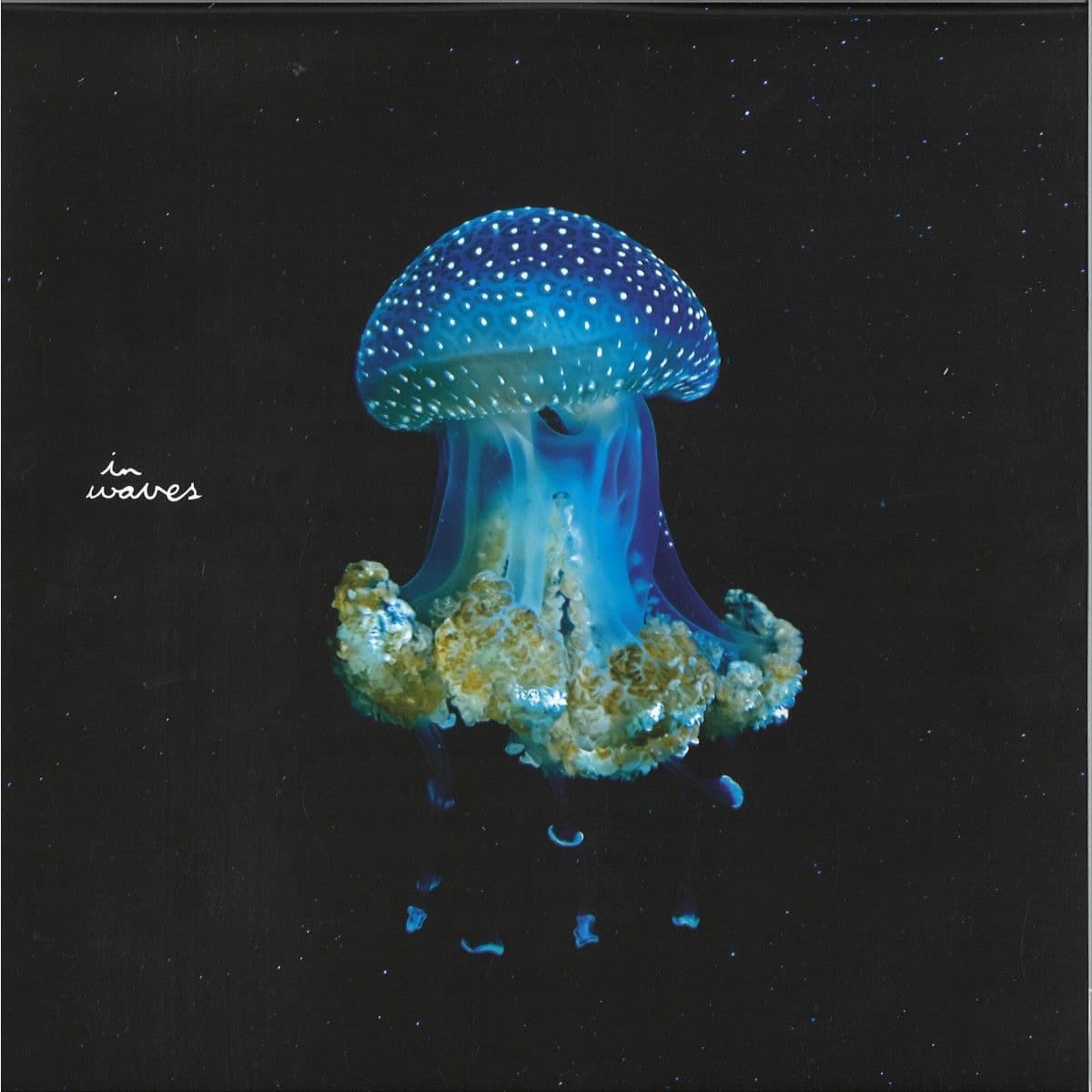 A Balloon In The Wind LP 3x12"