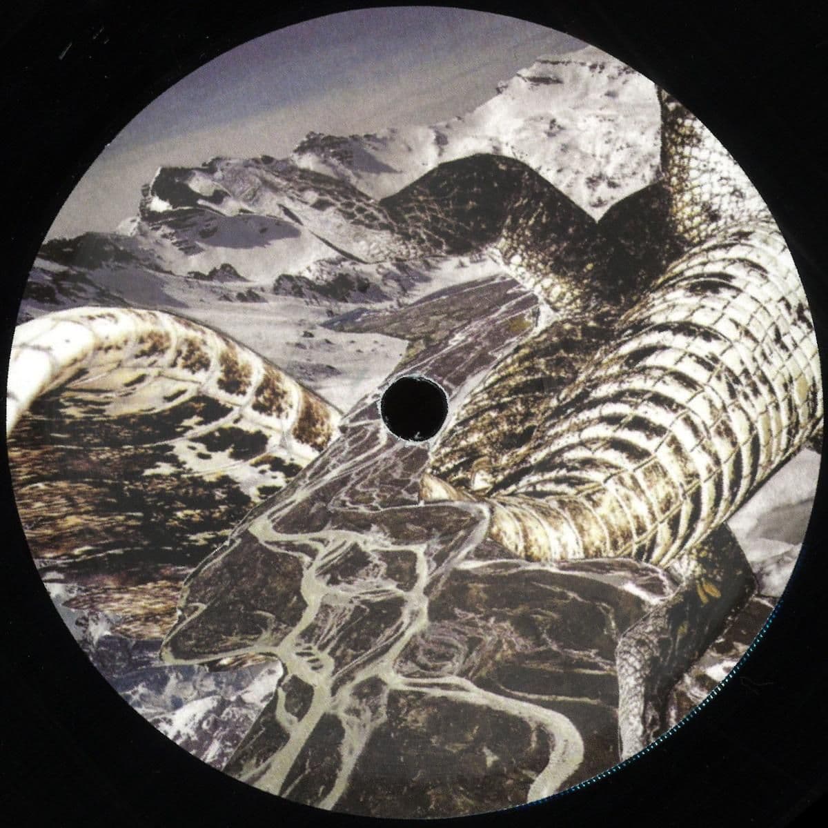 Andy Martin / Chrisitan Coiffure Split