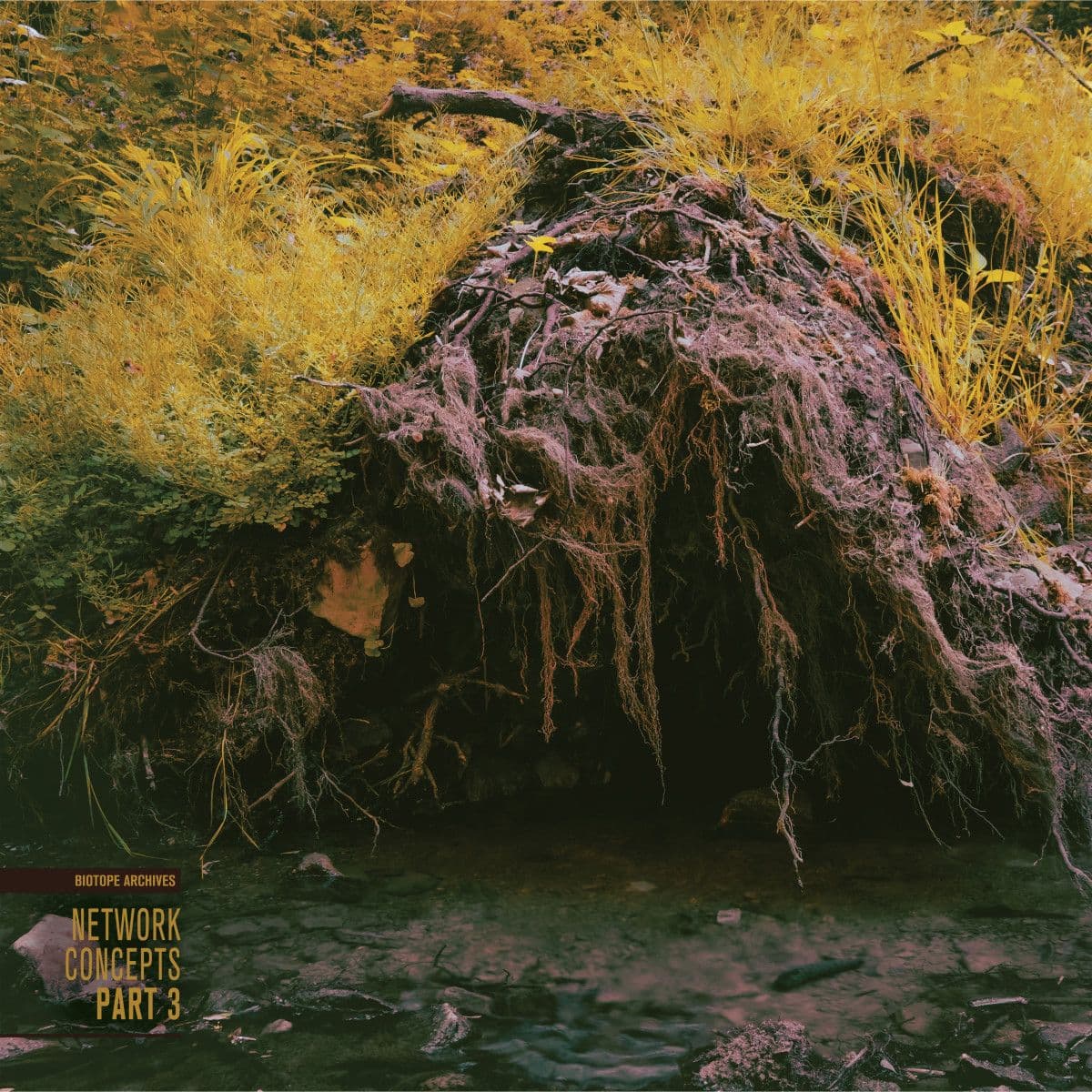 Network Concepts part 3