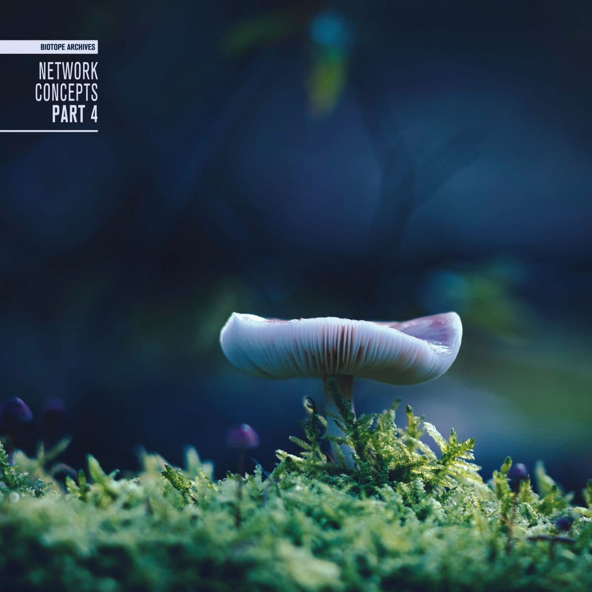 Network Concepts Part 4