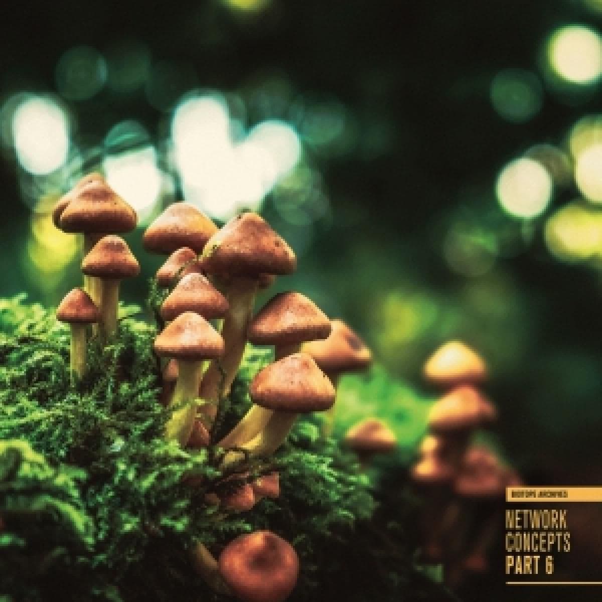 Network Concepts Part 6