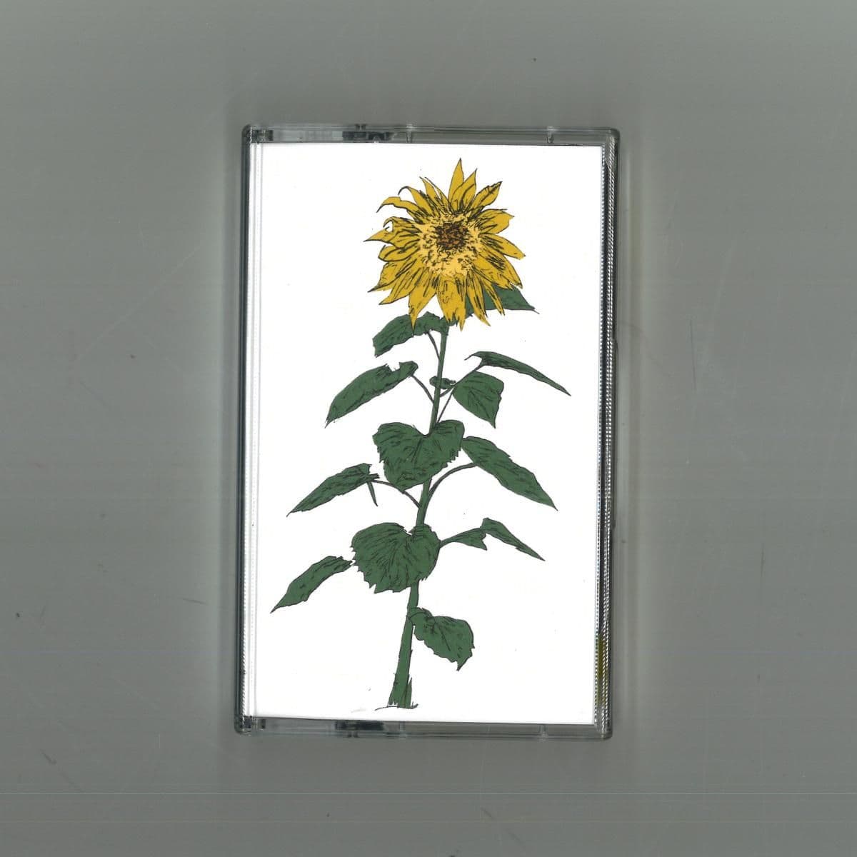 Music To Watch Seeds Grow By 007: Brian d'Souza (Sunflowers)