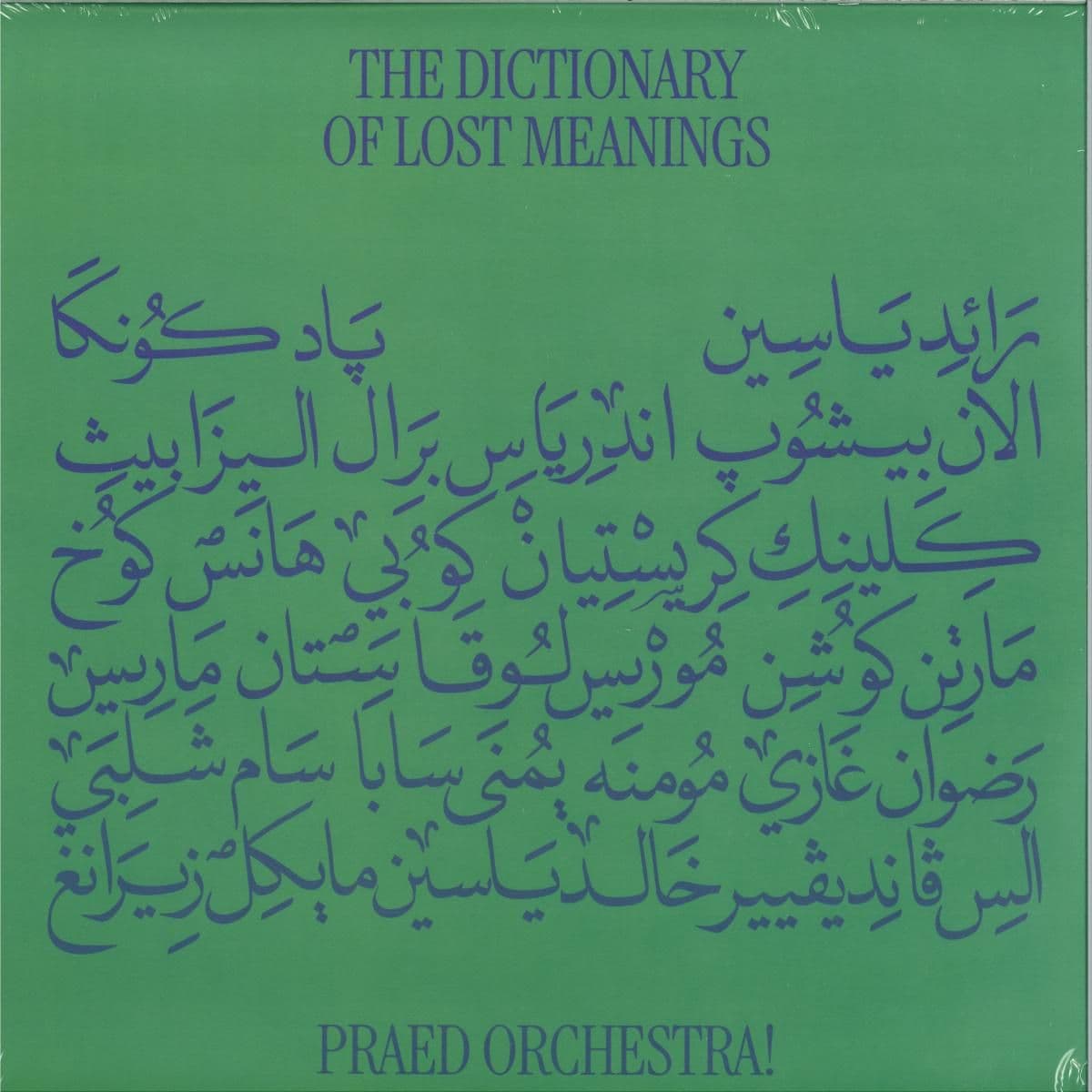 The Dictionary of Lost Meanings LP 2x12"