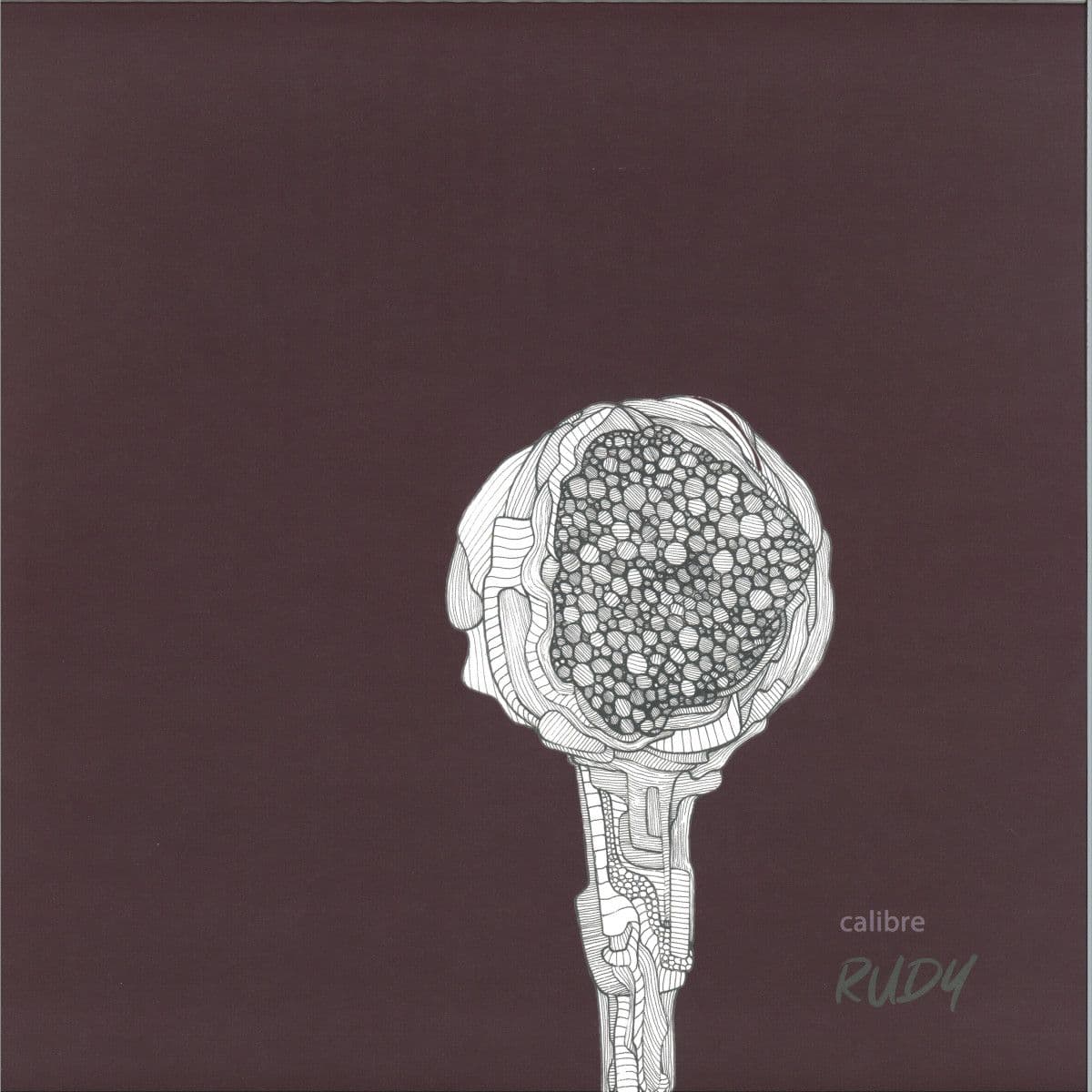 Rudy 3x12"
