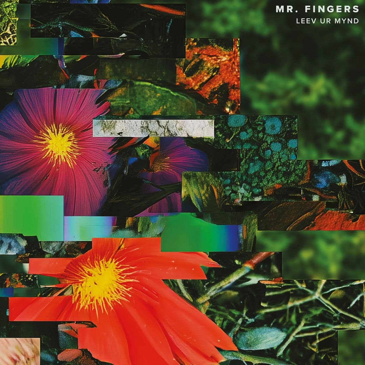 Leev Ur Mynd LP 2x12"