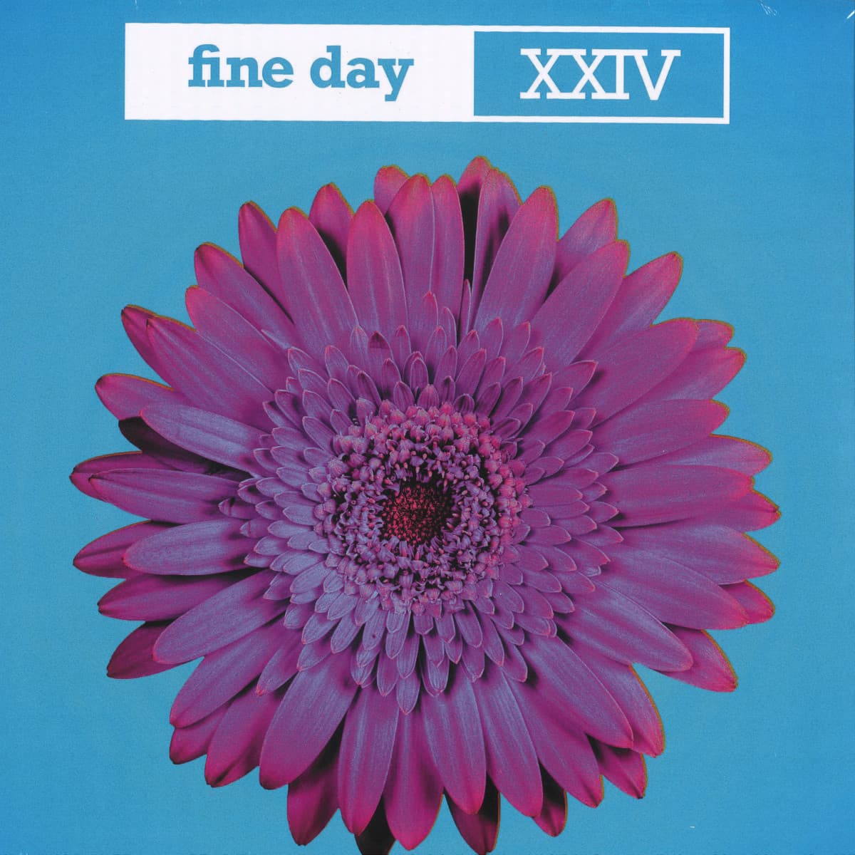 Fine Day XXIV