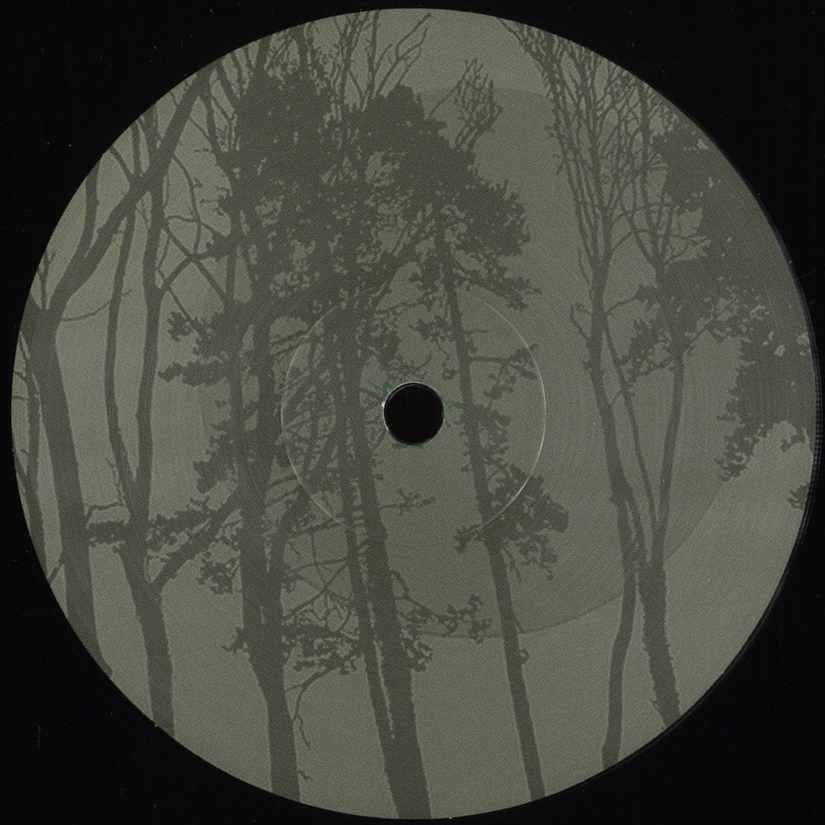 Dynamik / A Room Coloured