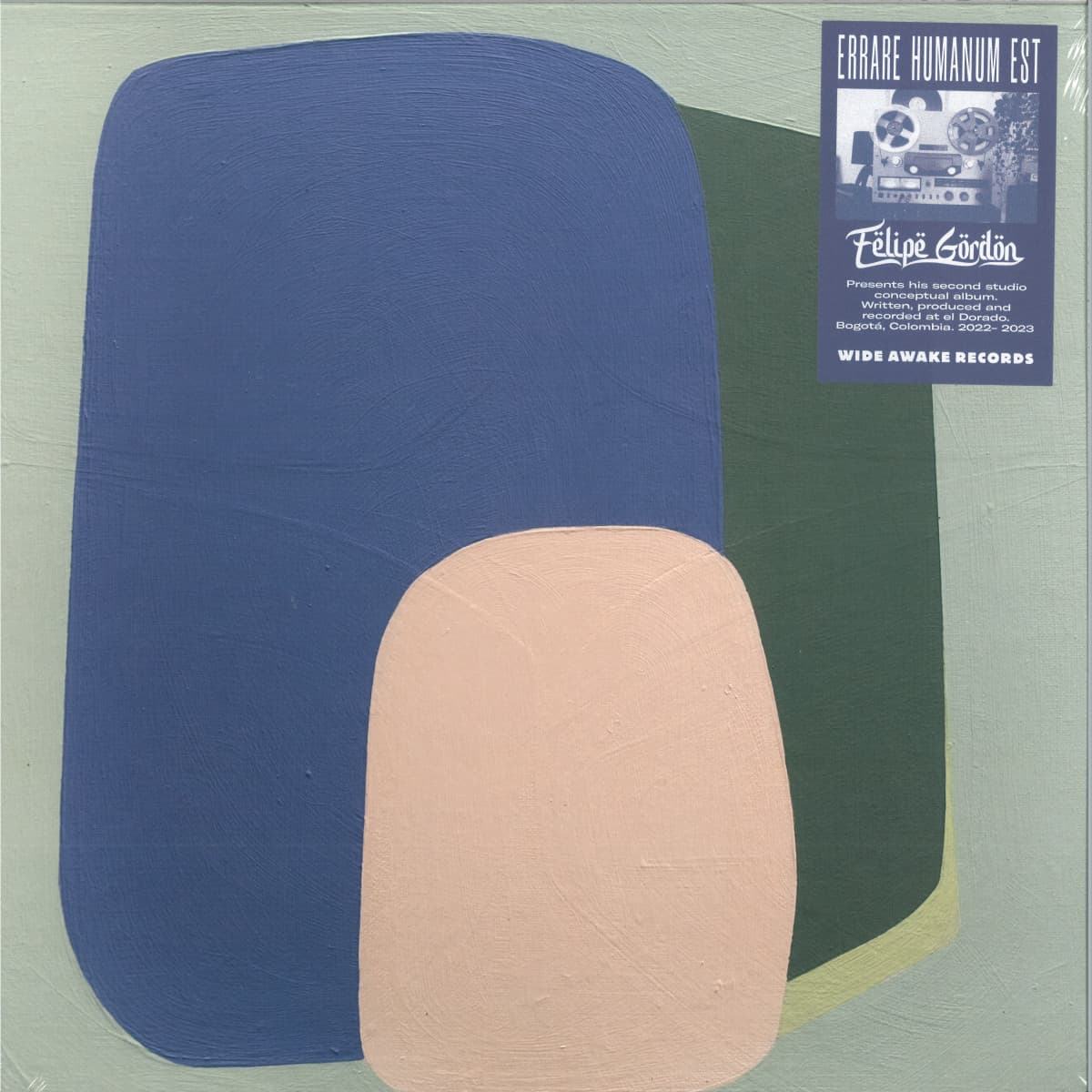 Errare Humanum Est LP 2x12"