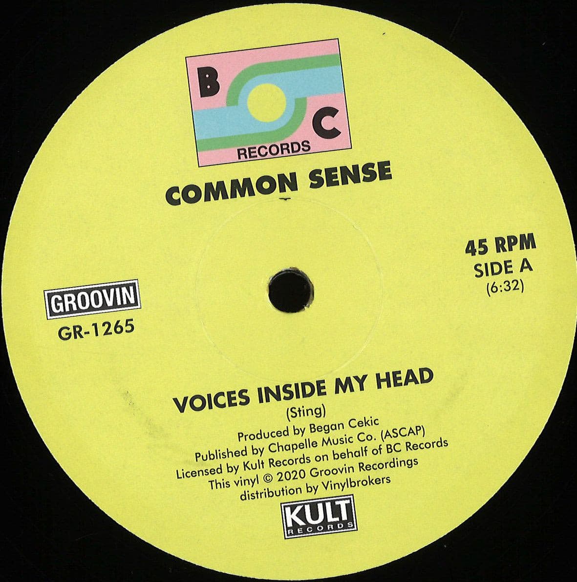 VOICES INSIDE MY HEAD