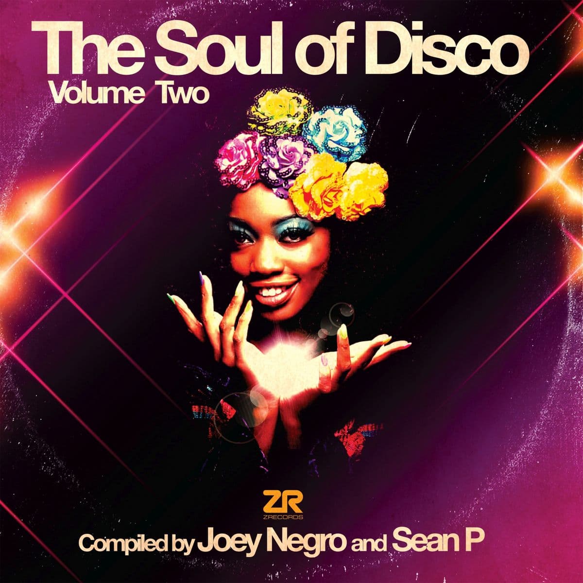 The Soul Of  Disco Vol.2