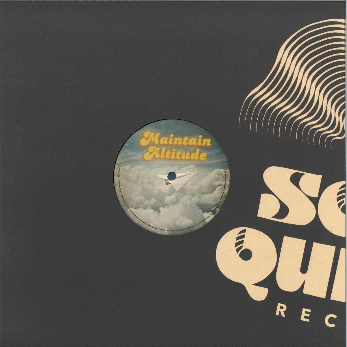 Maintain Altitude EP