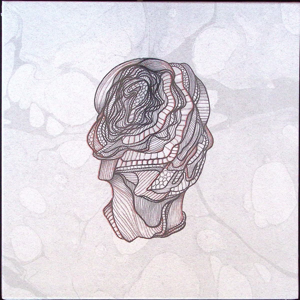 Little Foot (Vinyl Box Set LP 5x12")