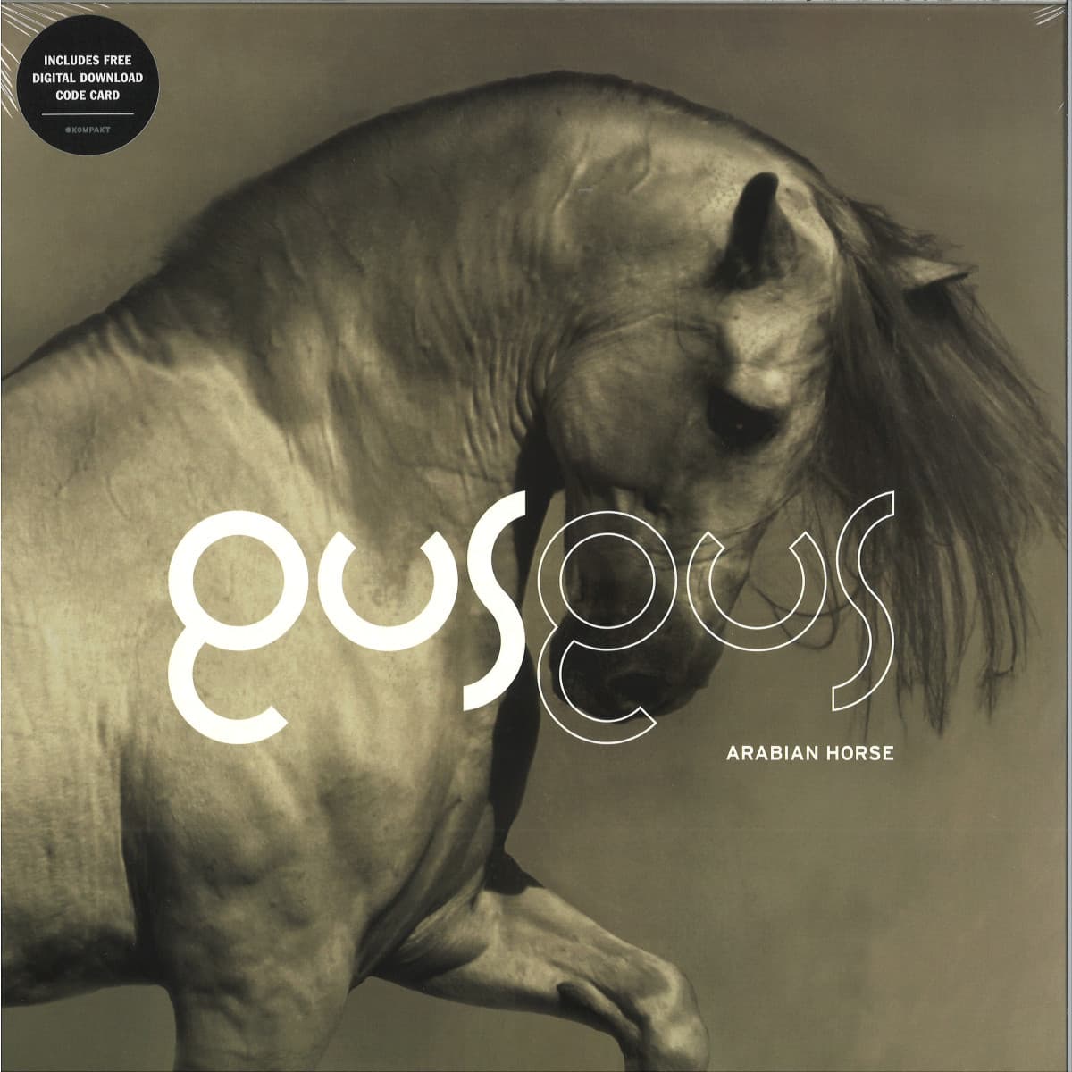 Arabian Horse LP 2x12"